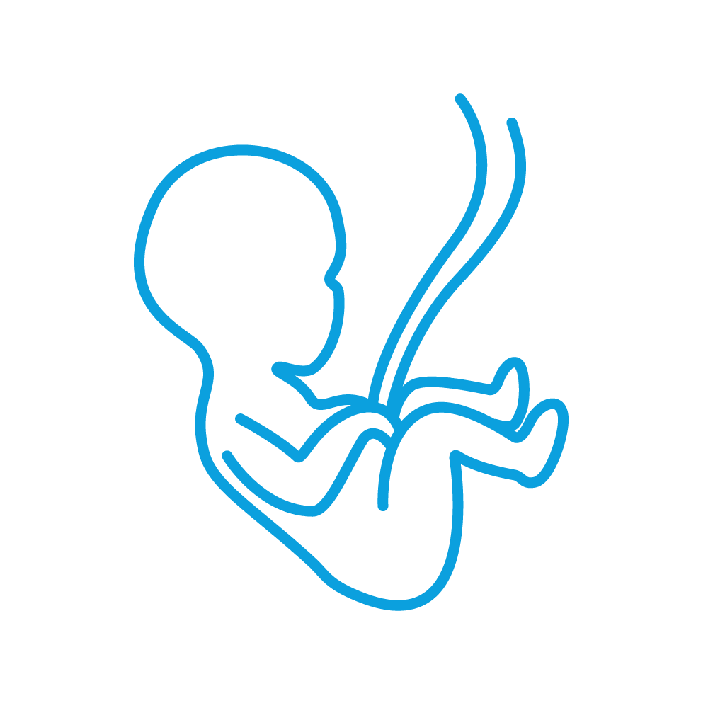 Gynaecology Icon