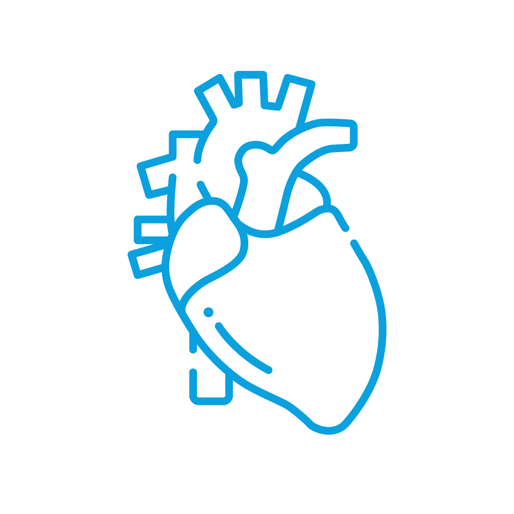 Cardiology Icon