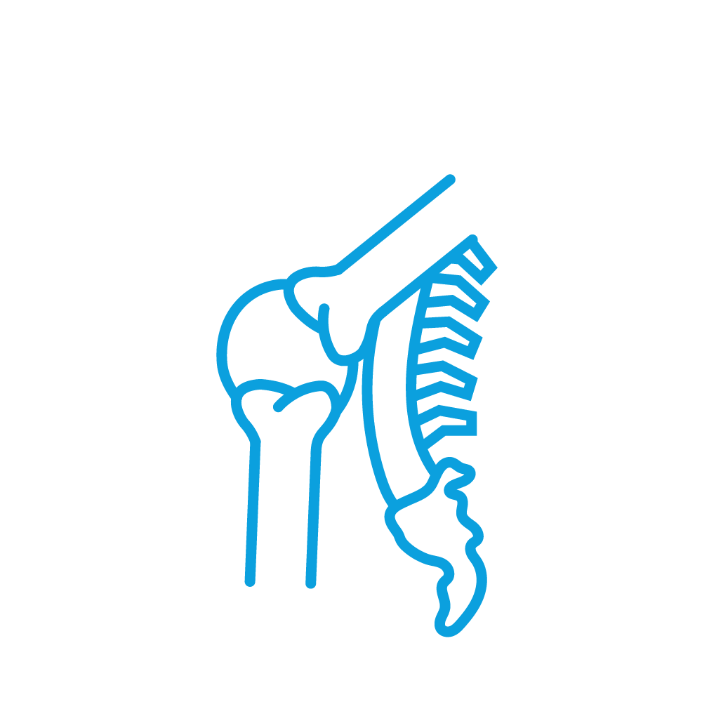 Orthopedics & Trauma Icon