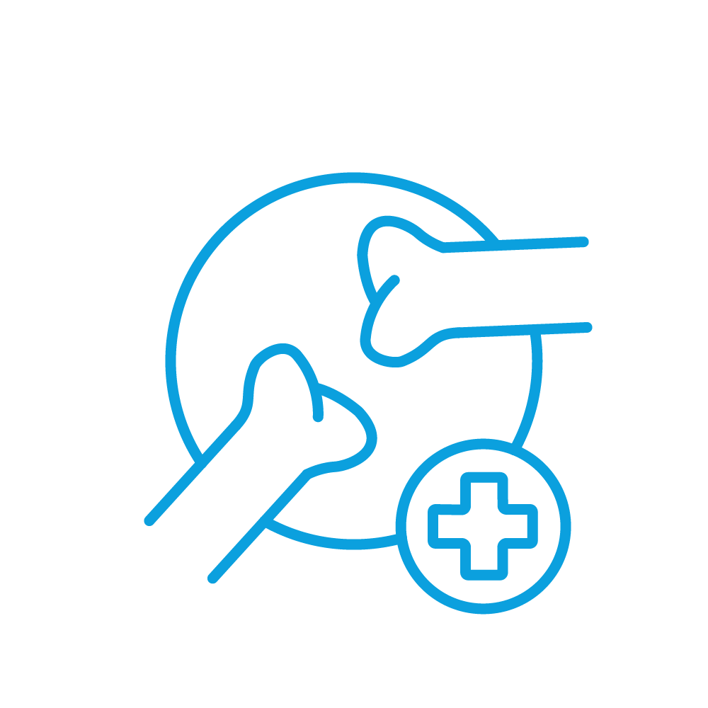 Rheumatology Icon