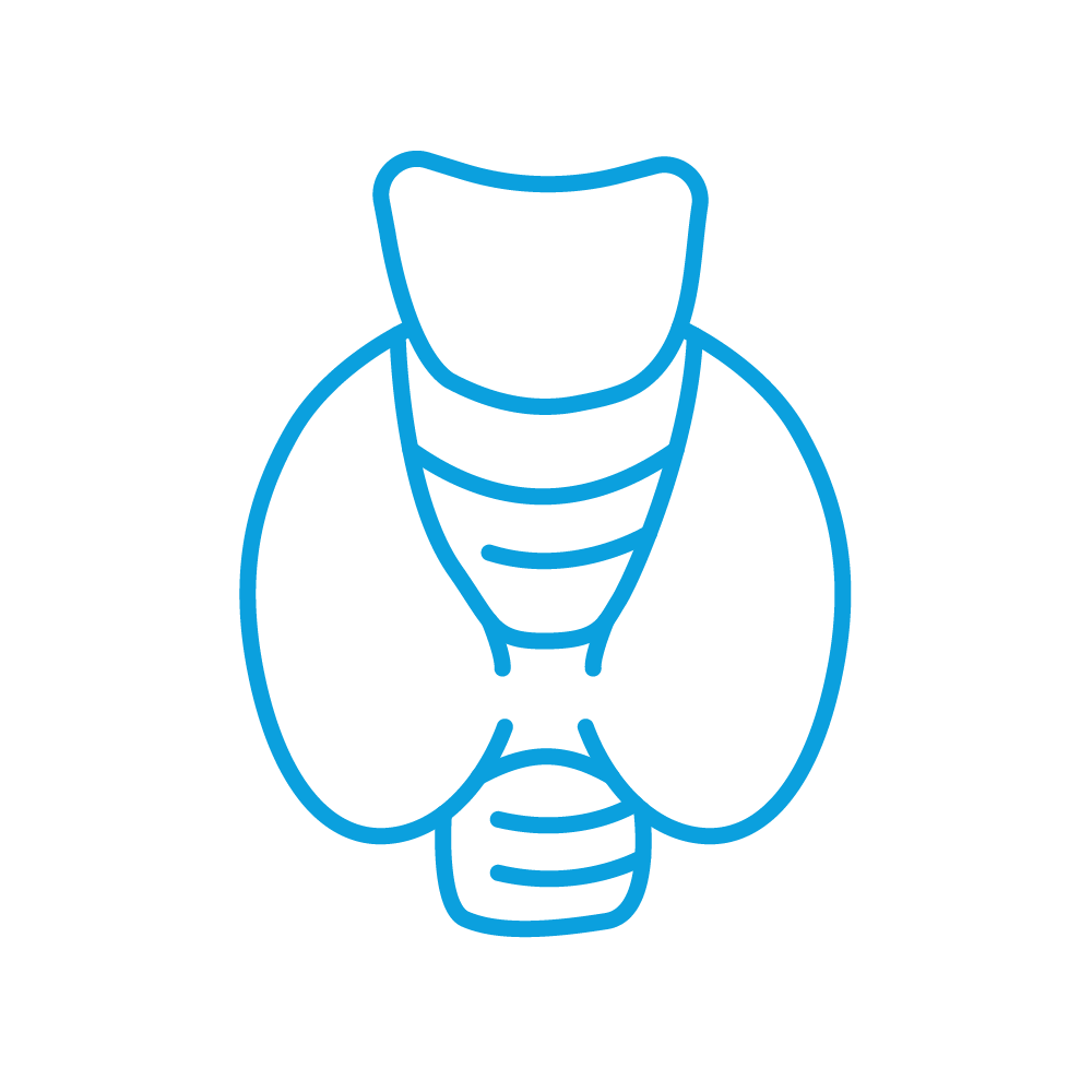 Endocrinology & Metabolism Icon