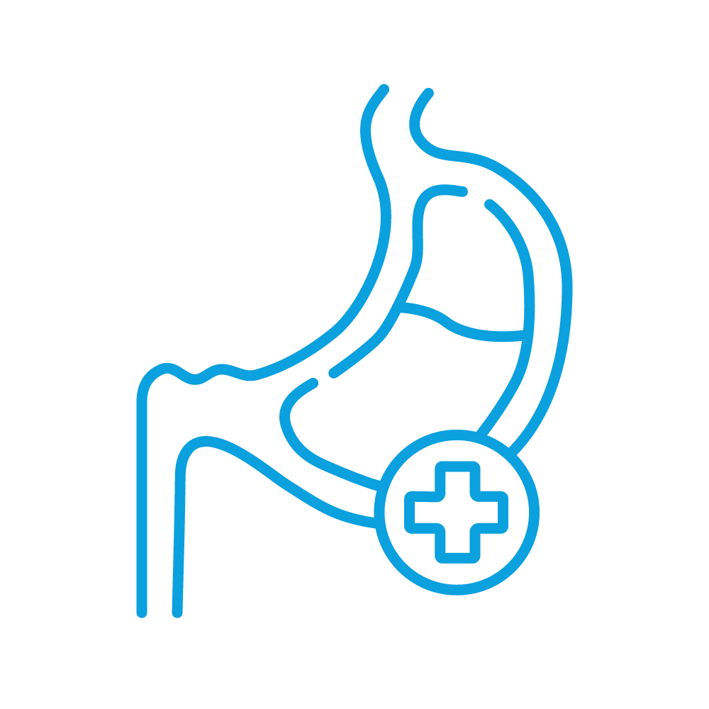 Gastro-Enterology Icon