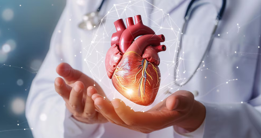 Cardiology Image