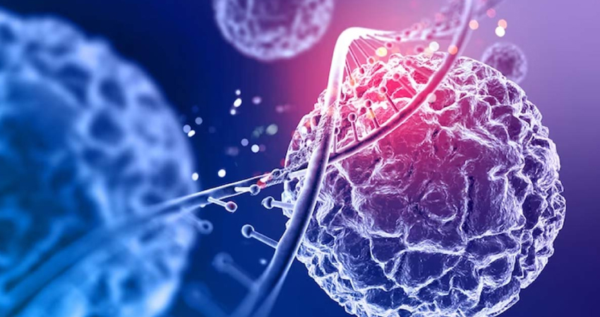 Oncology Image