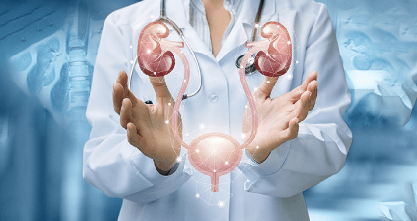 Urology Image